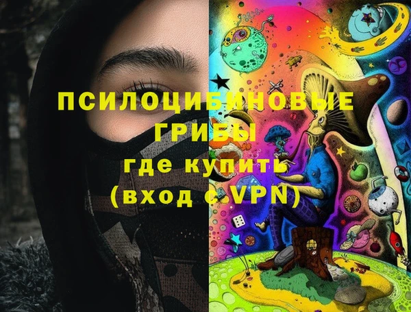 mdpv Богородицк