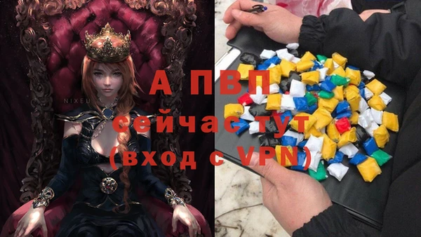 mdpv Богородицк