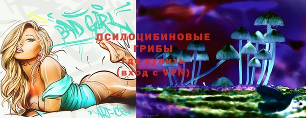 mdpv Богородицк