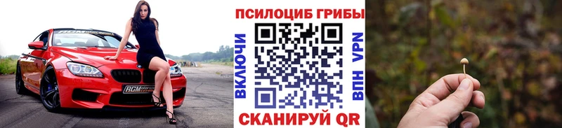 Купить закладки  Усолье-Сибирское  Галлюциногенные грибы мухоморы 